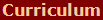 Curriculum